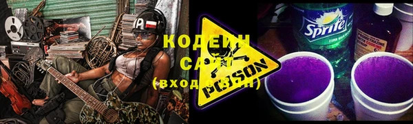 сатива Арсеньев