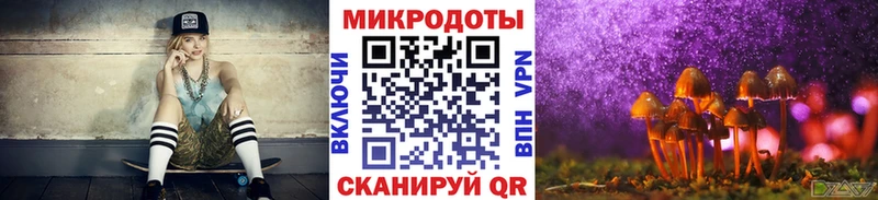 KRAKEN ССЫЛКА Баксан Галлюциногенные грибы мицелий