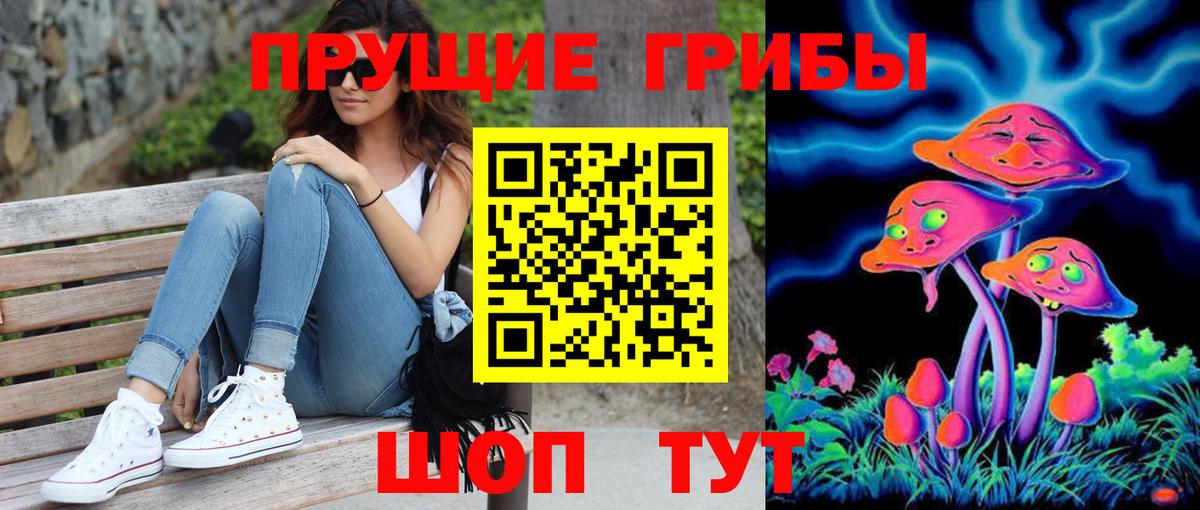 Баксан  Псилоцибиновые грибы Cubensis  Вход с VPN 