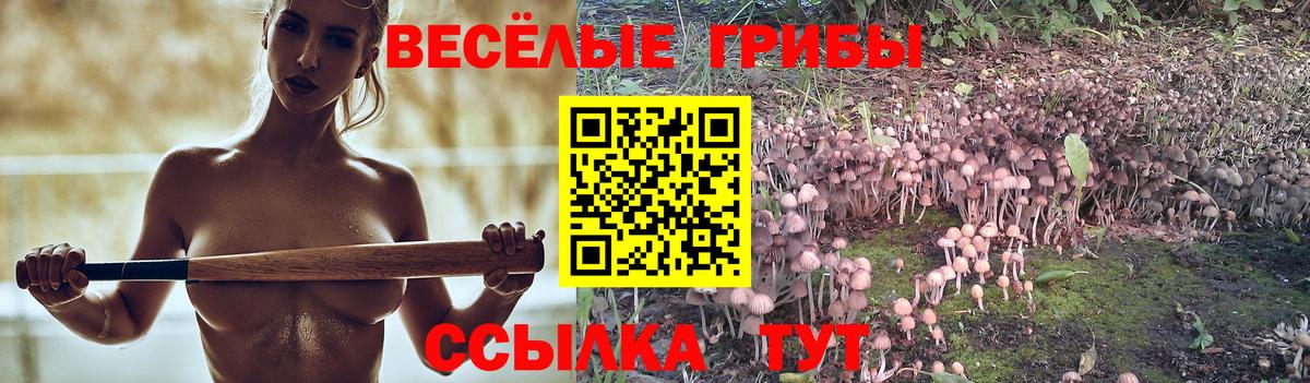 Галлюциногенные грибы Cubensis Баксан